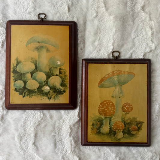 Vintage Mushroom Wall Art